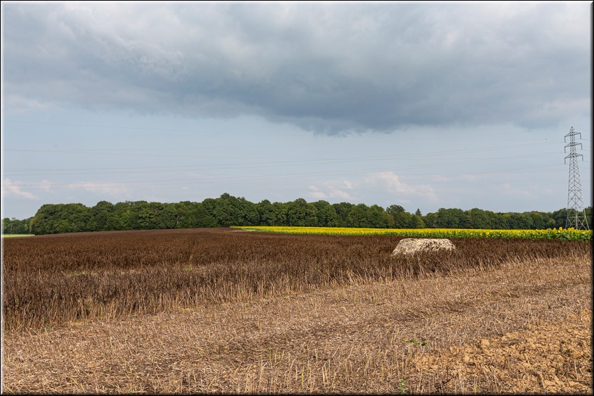 2024_08_20 - 0025.jpg