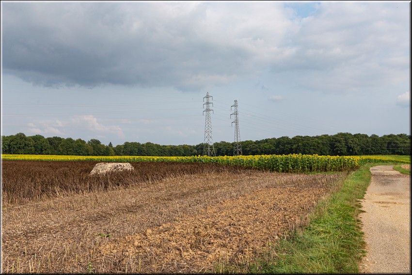 2024_08_20 - 0026.jpg