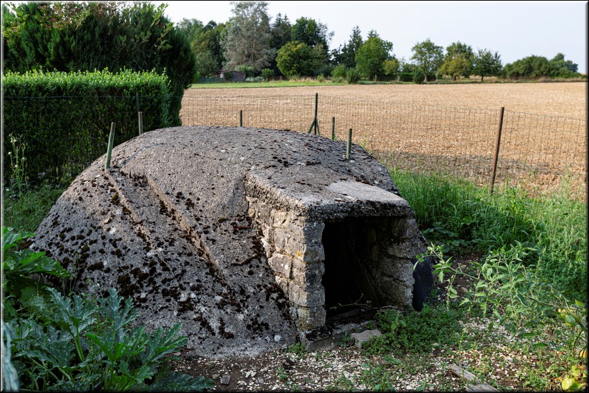 2024_08_20 - 0027.jpg