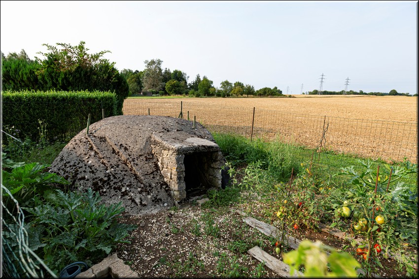 2024_08_20 - 0028.jpg