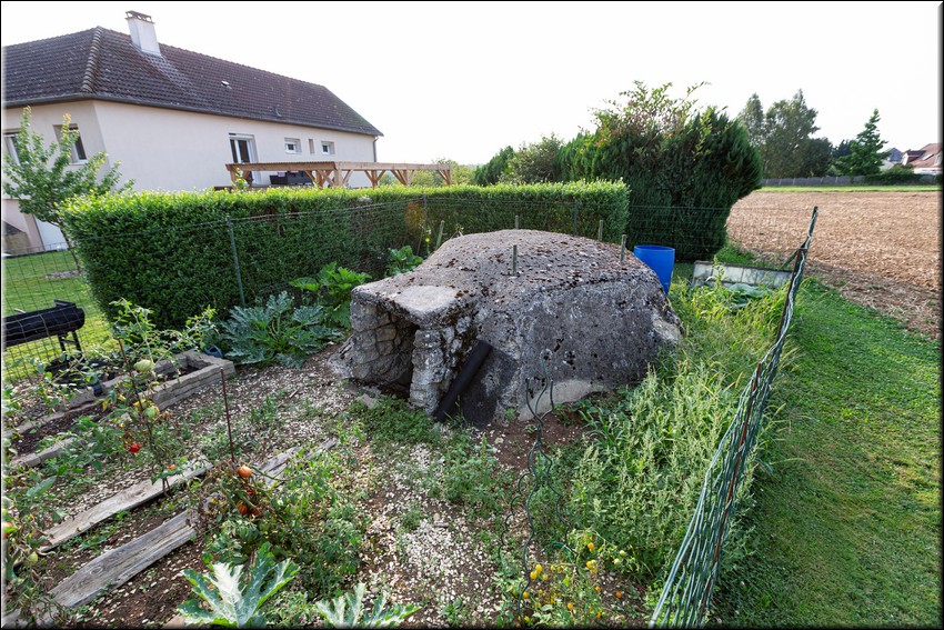 2024_08_20 - 0029.jpg