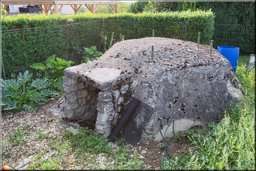 2024_08_20 - 0030.jpg