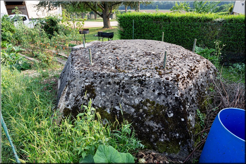 2024_08_20 - 0032.jpg