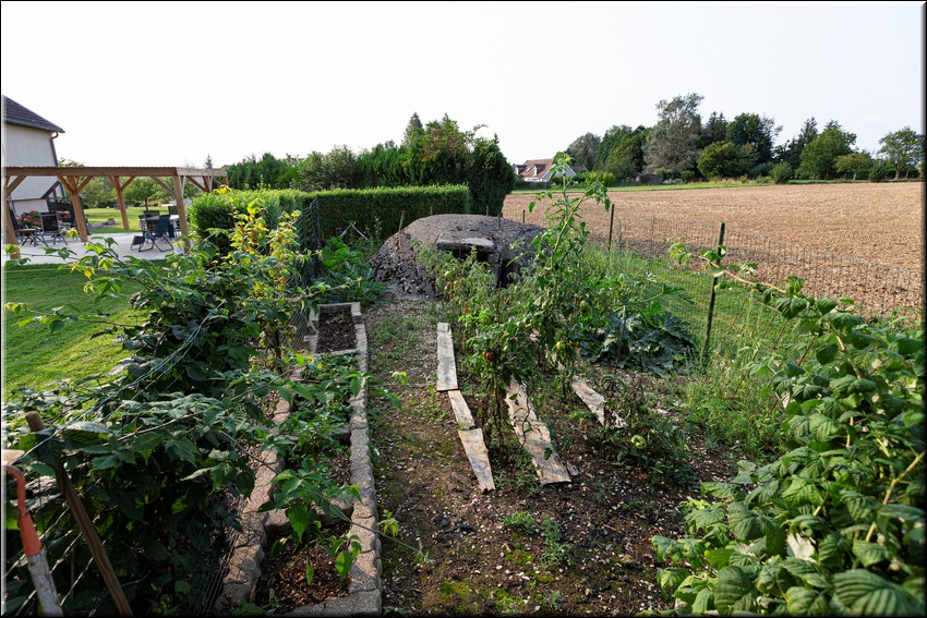 2024_08_20 - 0033.jpg