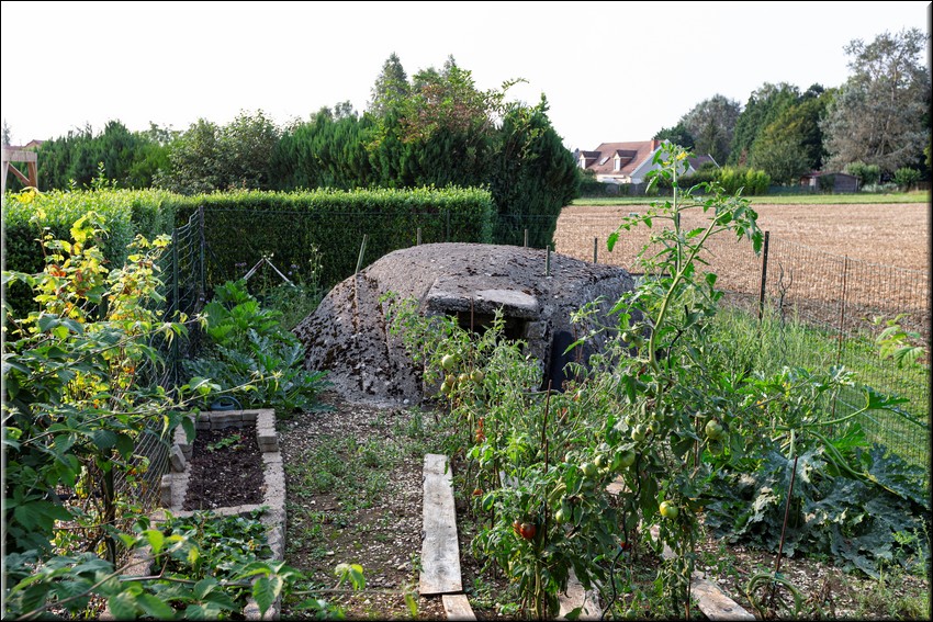 2024_08_20 - 0034.jpg