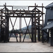 camp_mort
