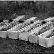 combles_en_barrois_23_aout_1944